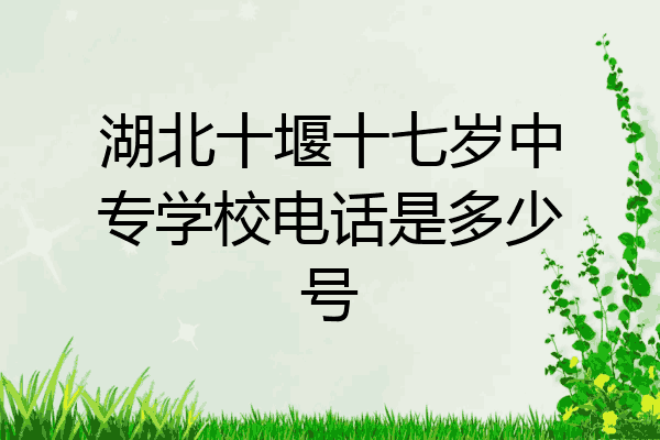 湖北十堰十七岁中专学校电话是多少号