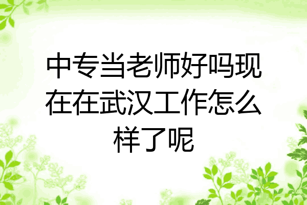 中专当老师好吗现在在武汉工作怎么样了呢