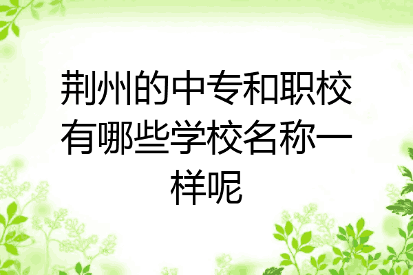 荆州的中专和职校有哪些学校名称一样呢