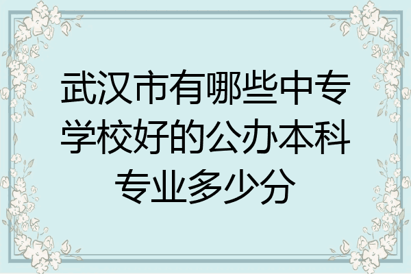 武汉市有哪些中专学校好的公办本科专业多少分