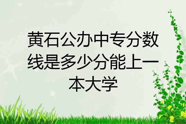 黄石公办中专分数线是多少分能上一本大学