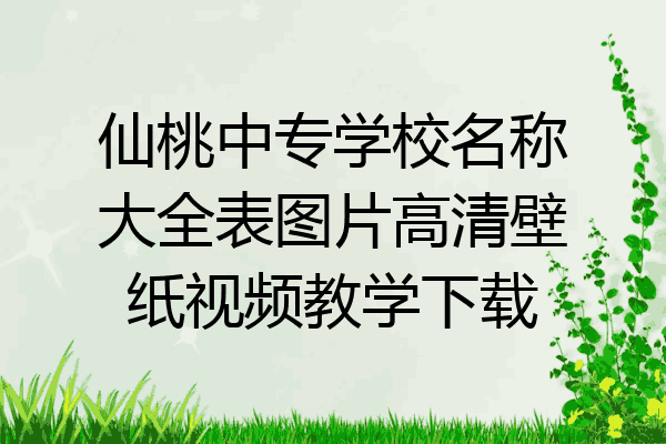 仙桃中专学校名称大全表图片高清壁纸视频教学下载