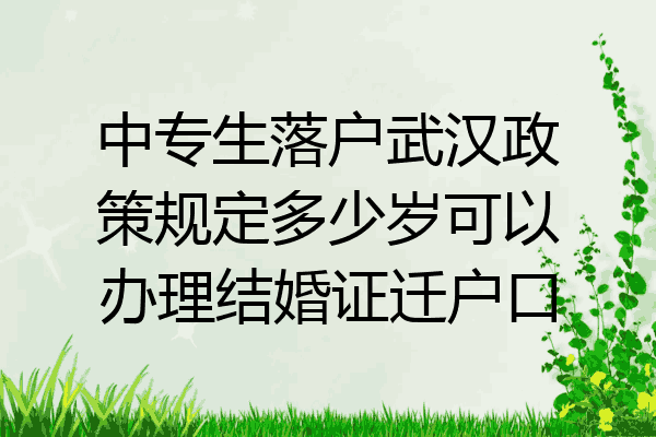 中专生落户武汉政策规定多少岁可以办理结婚证迁户口