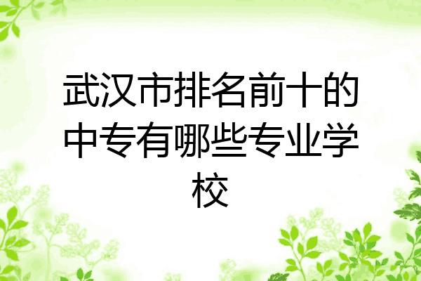 武汉市排名前十的中专有哪些专业学校