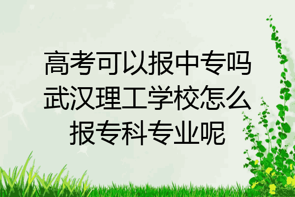 高考可以报中专吗武汉理工学校怎么报专科专业呢