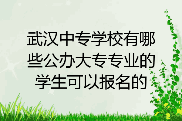 武汉中专学校有哪些公办大专专业的学生可以报名的