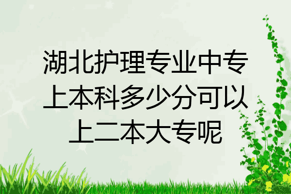 湖北护理专业中专上本科多少分可以上二本大专呢