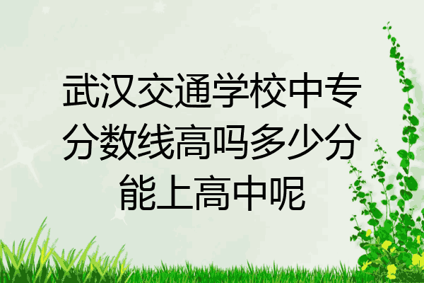 武汉交通学校中专分数线高吗多少分能上高中呢