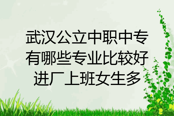 武汉公立中职中专有哪些专业比较好进厂上班女生多