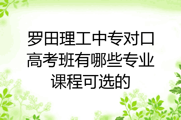 罗田理工中专对口高考班有哪些专业课程可选的