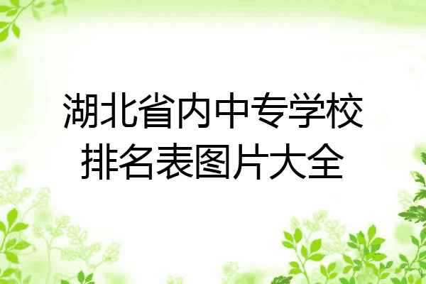 湖北省内中专学校排名表图片大全