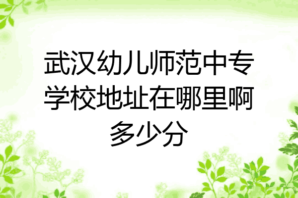 武汉幼儿师范中专学校地址在哪里啊多少分