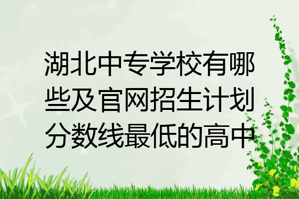 湖北中专学校有哪些及官网招生计划分数线最低的高中