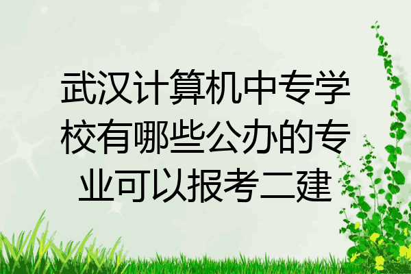 武汉计算机中专学校有哪些公办的专业可以报考二建