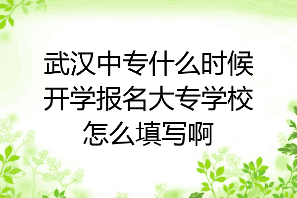 武汉中专什么时候开学报名大专学校怎么填写啊