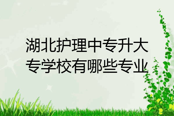 湖北护理中专升大专学校有哪些专业