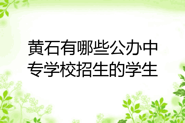 黄石有哪些公办中专学校招生的学生