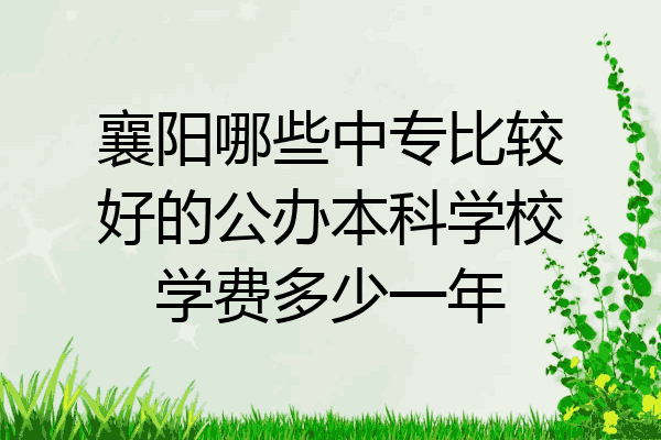 襄阳哪些中专比较好的公办本科学校学费多少一年
