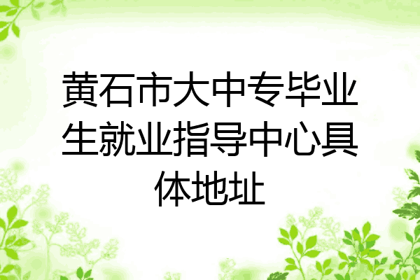 黄石市大中专毕业生就业指导中心具体地址