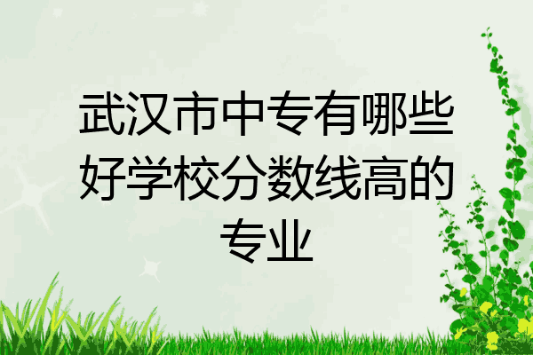 武汉市中专有哪些好学校分数线高的专业