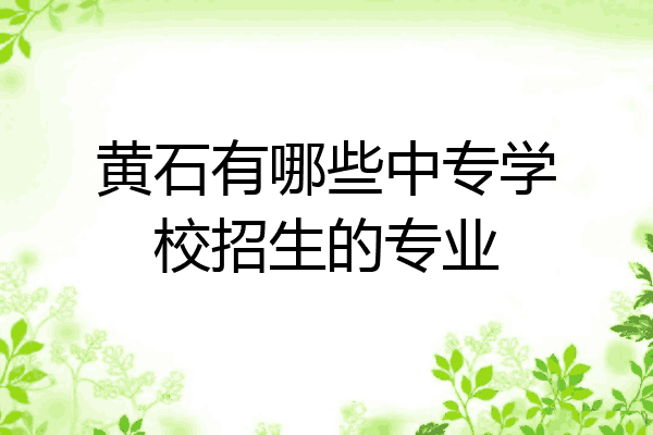 黄石有哪些中专学校招生的专业