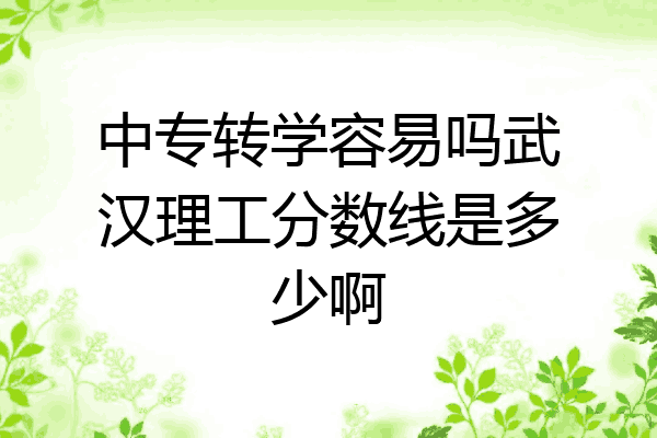 中专转学容易吗武汉理工分数线是多少啊