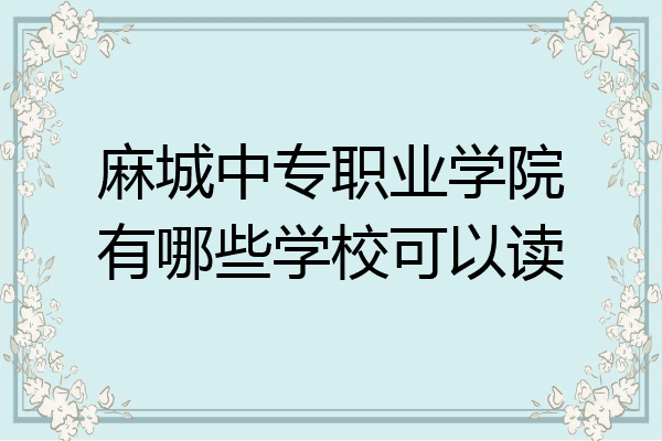 麻城中专职业学院有哪些学校可以读