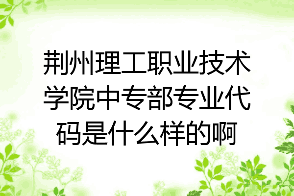 荆州理工职业技术学院中专部专业代码是什么样的啊