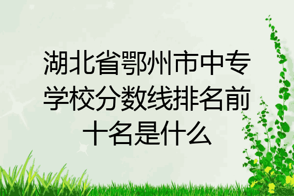 湖北省鄂州市中专学校分数线排名前十名是什么