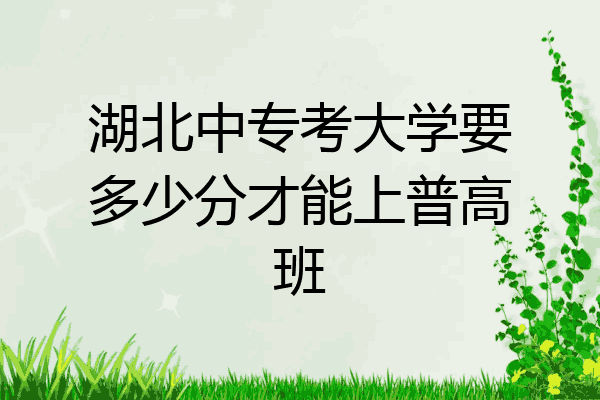 湖北中专考大学要多少分才能上普高班