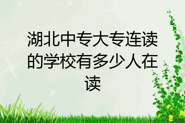湖北中专大专连读的学校有多少人在读