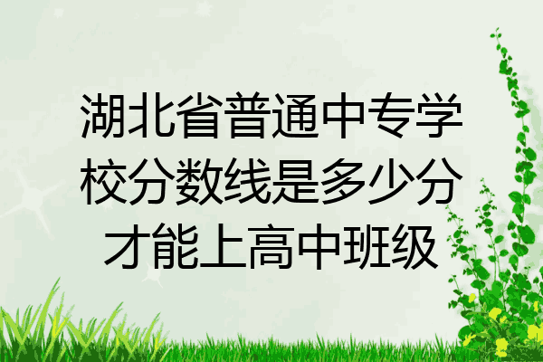 湖北省普通中专学校分数线是多少分才能上高中班级