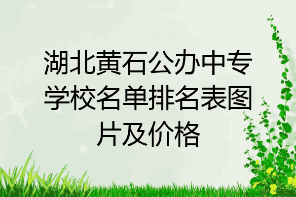 湖北黄石公办中专学校名单排名表图片及价格