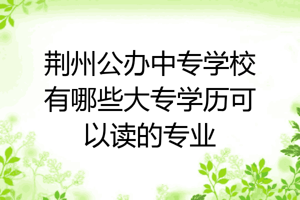 荆州公办中专学校有哪些大专学历可以读的专业