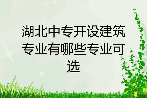 湖北中专开设建筑专业有哪些专业可选