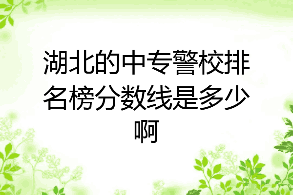 湖北的中专警校排名榜分数线是多少啊
