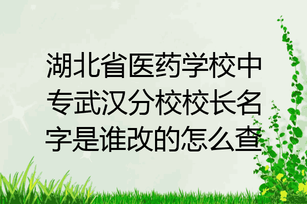 湖北省医药学校中专武汉分校校长名字是谁改的怎么查