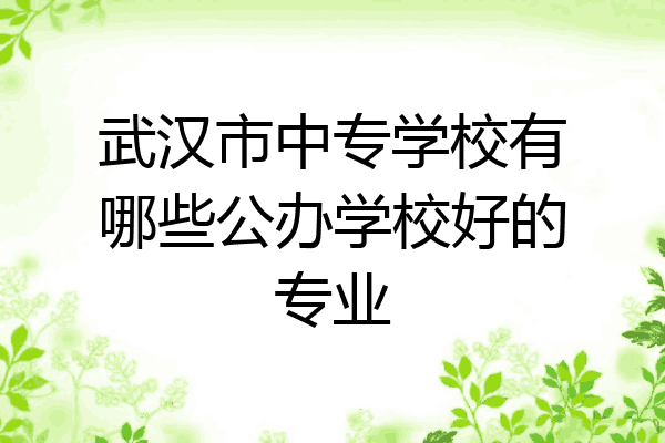 武汉市中专学校有哪些公办学校好的专业