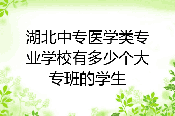 湖北中专医学类专业学校有多少个大专班的学生