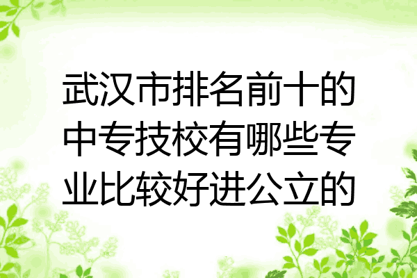 武汉市排名前十的中专技校有哪些专业比较好进公立的