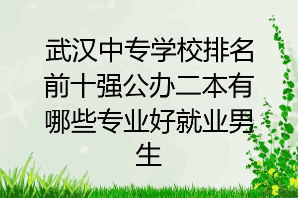 武汉中专学校排名前十强公办二本有哪些专业好就业男生