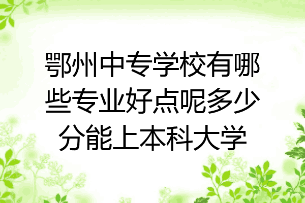鄂州中专学校有哪些专业好点呢多少分能上本科大学