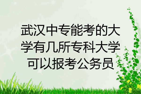 武汉中专能考的大学有几所专科大学可以报考公务员