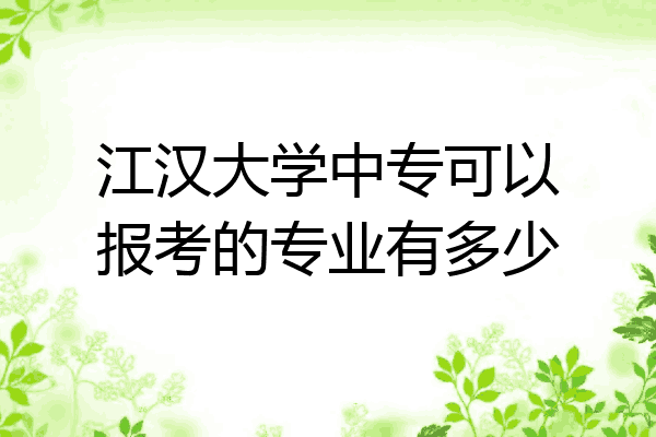 江汉大学中专可以报考的专业有多少
