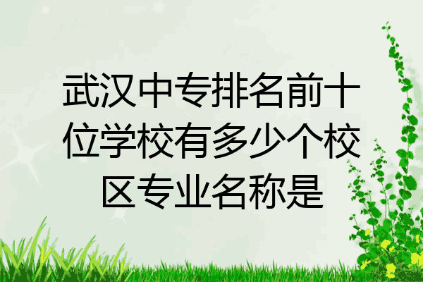 武汉中专排名前十位学校有多少个校区专业名称是