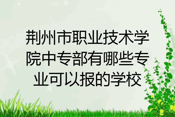 荆州市职业技术学院中专部有哪些专业可以报的学校