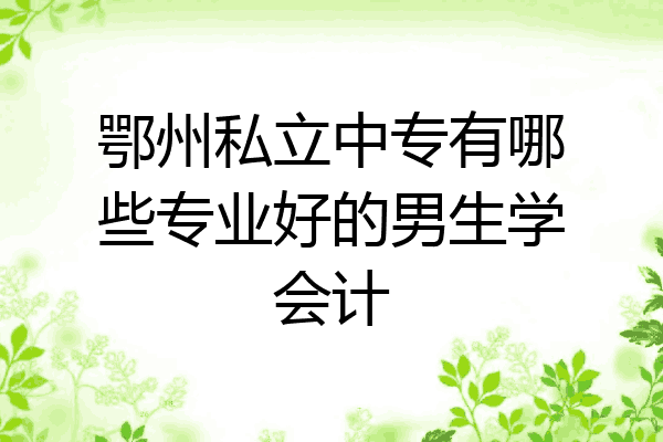 鄂州私立中专有哪些专业好的男生学会计