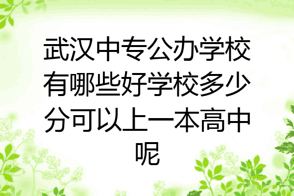 武汉中专公办学校有哪些好学校多少分可以上一本高中呢