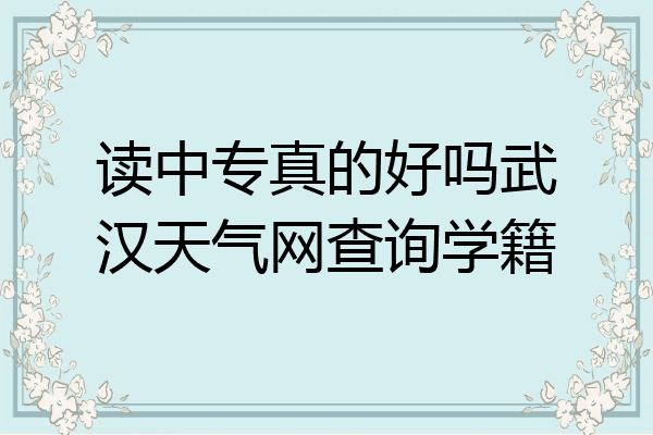 读中专真的好吗武汉天气网查询学籍
