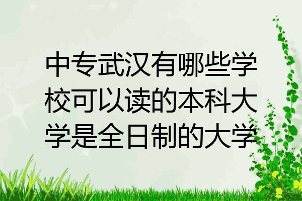 中专武汉有哪些学校可以读的本科大学是全日制的大学